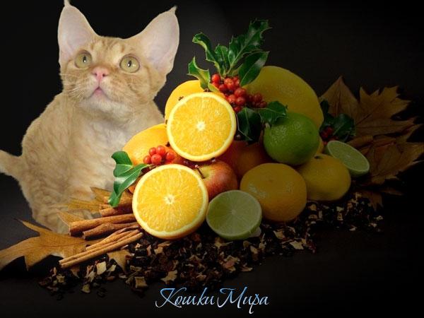 Элсик-натюрморт.jpg