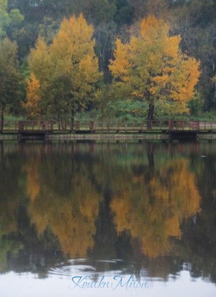 Отражения