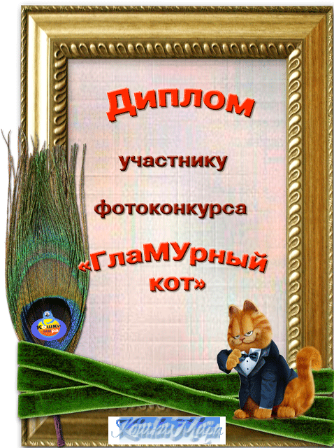 Диплом участника фотоконкурса