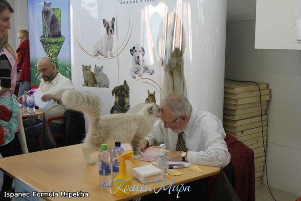 За номинацию на BIS, можно и поцеловать ... в лобик