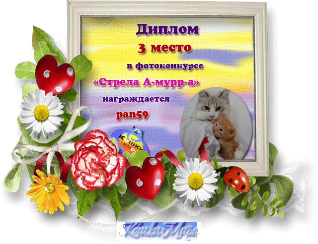 Диплом 3 место