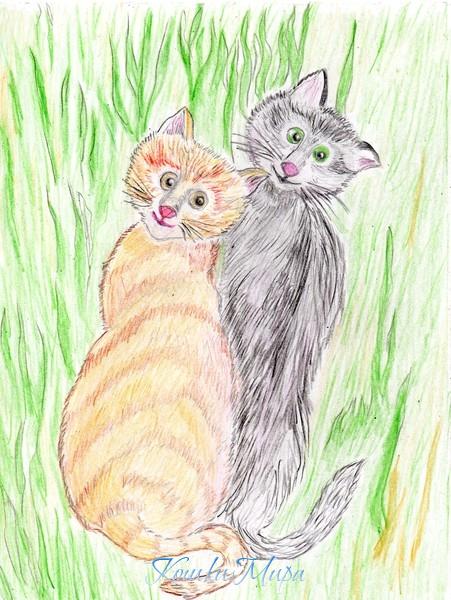 кошаки