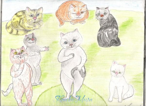 Кошаки