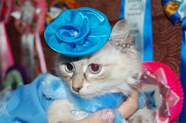 Незабудка