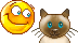 :k27: :k27:
