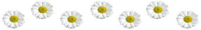 bg6.png