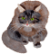 f_027.png