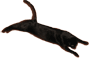 fk101.png