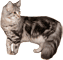 fk110.png