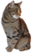 fk7.png