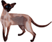fk91.gif