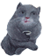 is012.png