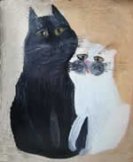 Белая кошка, черный кот