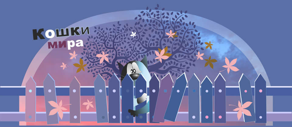 Кошки Мира